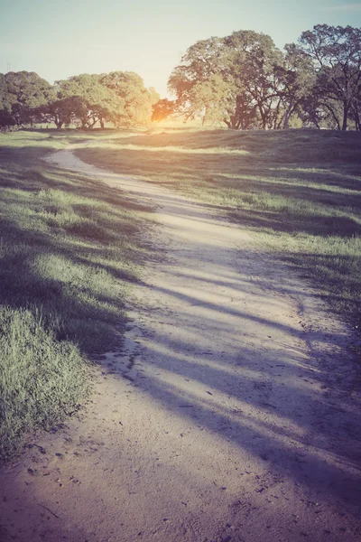 美しい自然の背景として — ストック写真