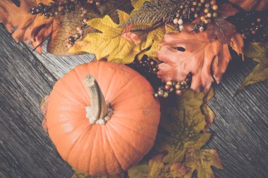 Kabak ile sonbahar yaprakları