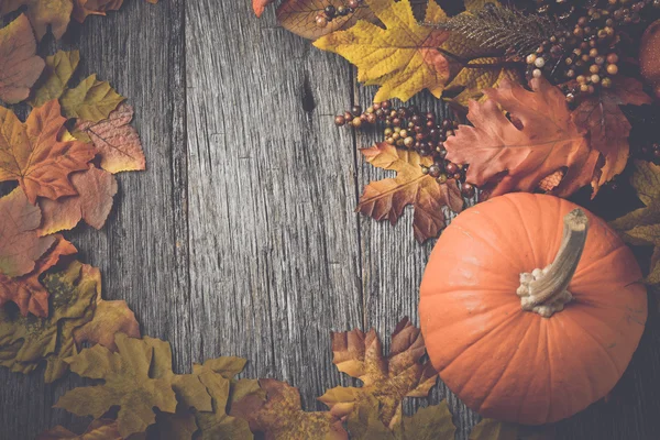 Pompoen met Herfstbladeren — Stockfoto