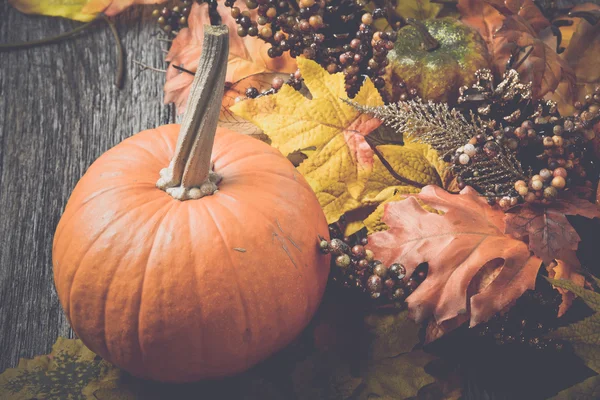 Kürbis mit Herbstblättern — Stockfoto