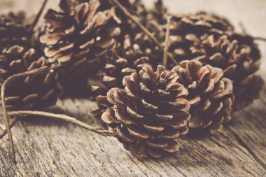 ahşap zemin üzerinde pinecones