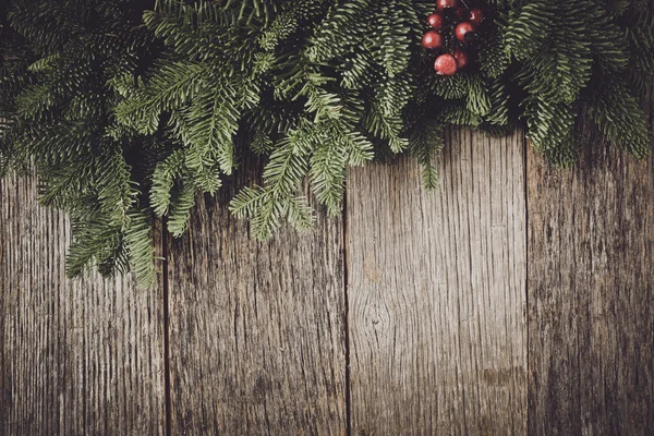 Tree branch with Holly Berry — Stock Photo, Image