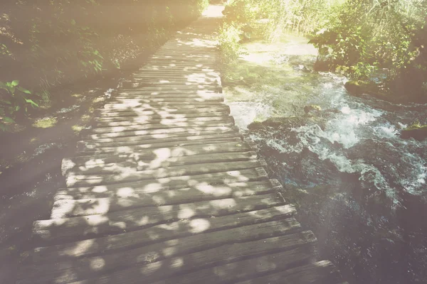 Hiking Trail met zonlicht — Stockfoto