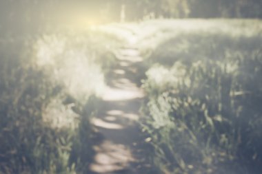 bulanık doğa arka plan