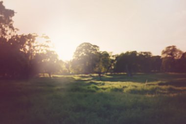 bulanık doğa arka plan