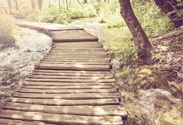 Sendero de senderismo de madera en el bosque — Foto de Stock