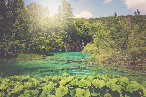 Cascada en el Parque Nacional de Plitvice en Croacia — Foto de Stock