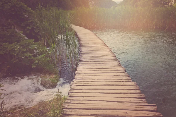 Houten wandelpad in het bos — Stockfoto