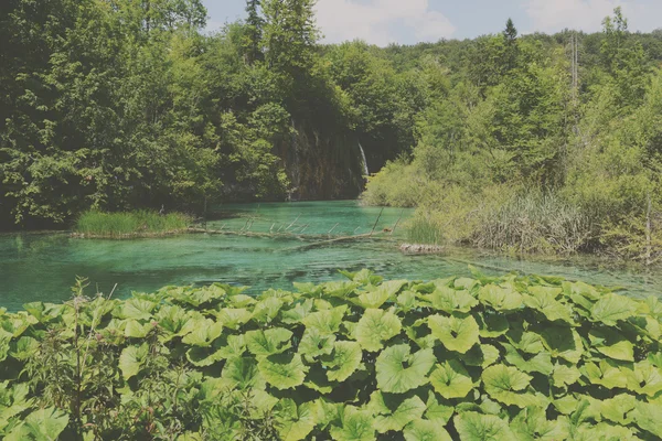 Cascada en el Parque Nacional de Plitvice en Croacia — Foto de Stock