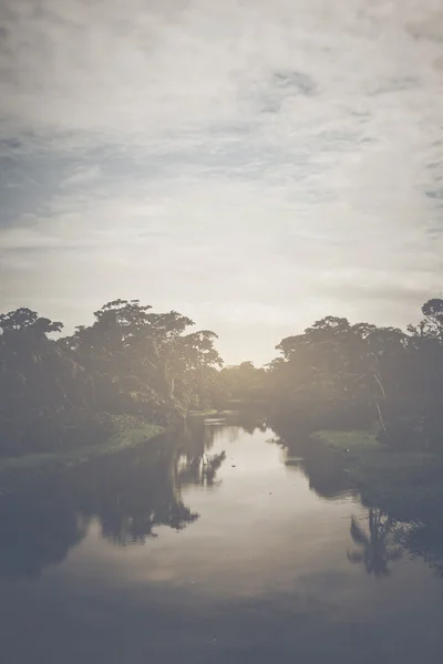 Rivier in een tropisch regenwoud — Stockfoto