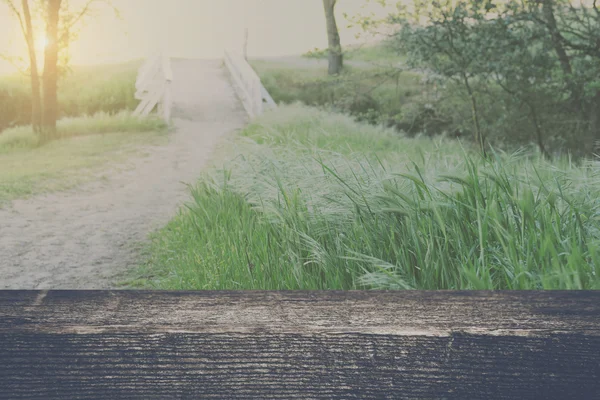 Sentiero natura offuscata con sfondo ponte bianco con Instagram — Foto Stock