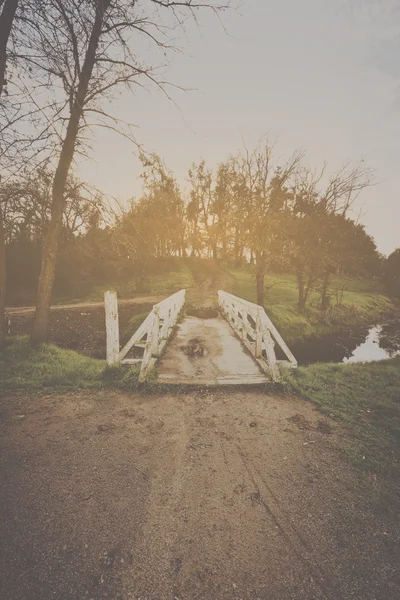 Sentier nature flou avec pont blanc — Photo