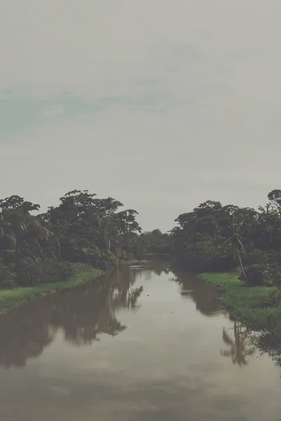 Rivière dans une forêt tropicale humide — Photo