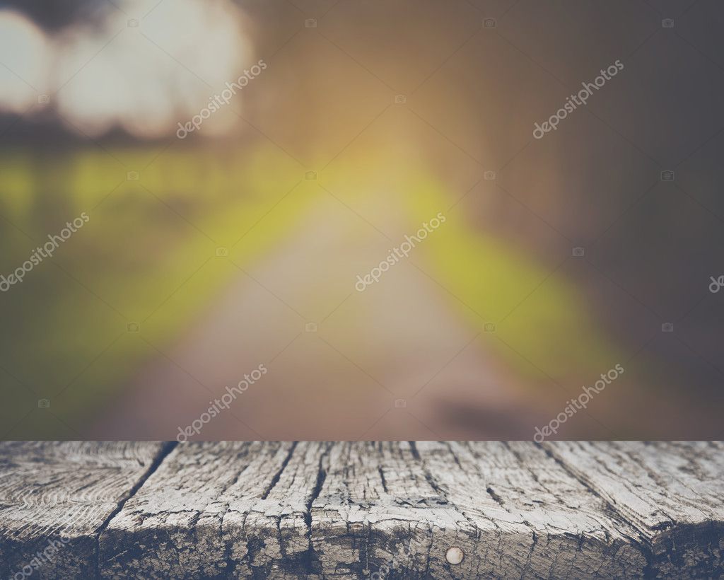 Blurred Nature Background — Stock Photo © slickspics #98284762