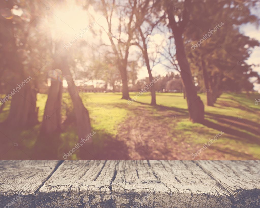 Fundo natureza turva — Foto © slickspics #98469432, image size:1024x820