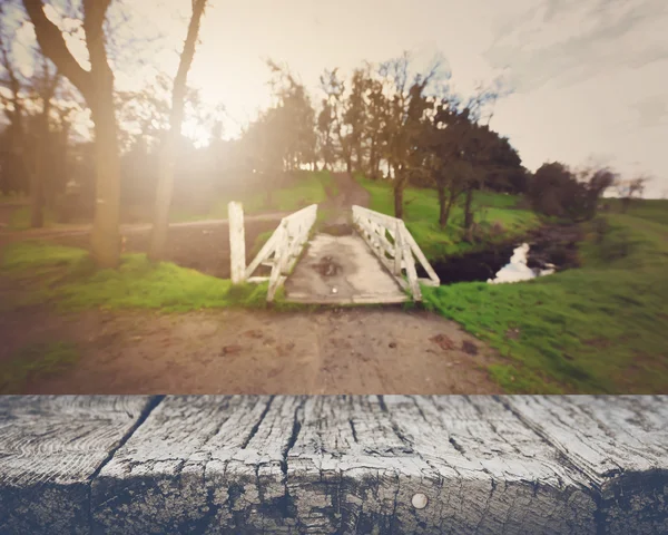 Trilha da natureza desfocada com ponte branca — Fotografia de Stock