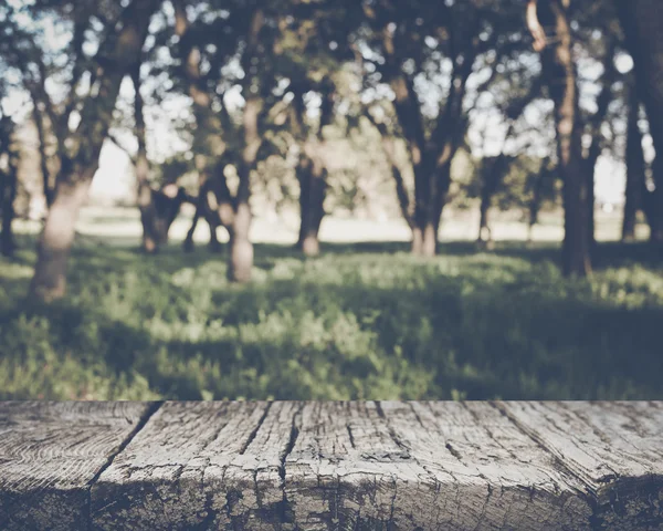 Rozmazané přírodní pozadí — Stock fotografie