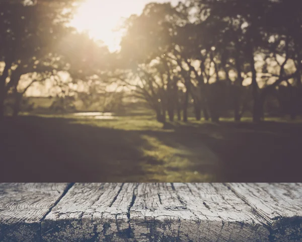 Fondo de la naturaleza borrosa — Foto de Stock