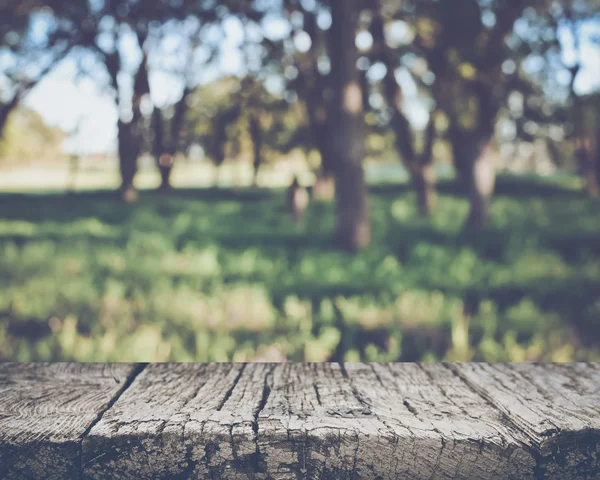 Hintergrund verschwommene Natur — Stockfoto