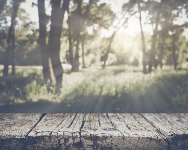 bulanık doğa arka plan