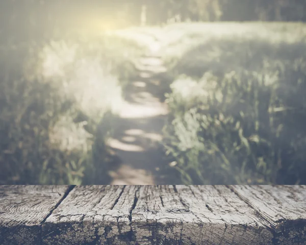 Fondo de la naturaleza borrosa — Foto de Stock