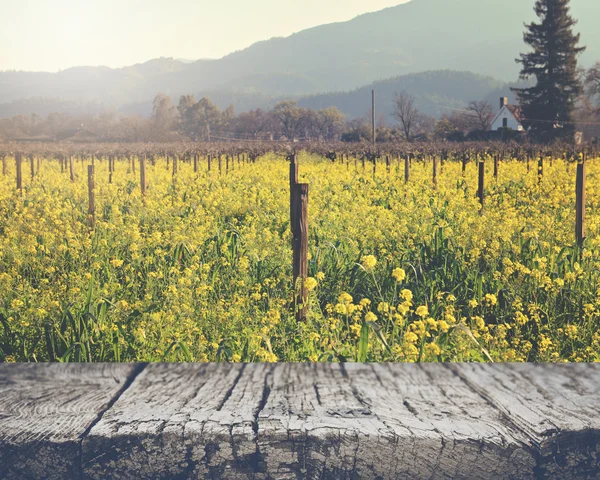 Viñedo en primavera con Vintage Instagram Filtro de estilo de película —  Fotos de Stock