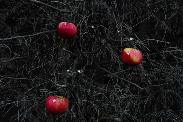 Tørre Greiner Trær Dekorert Med Røde Epler Stjerner Mørkt Bilde – stockfoto