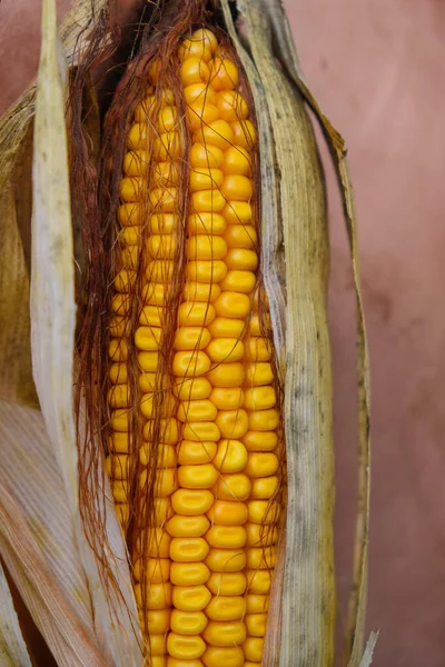 Консистенция Кукурузного Початка Вертикальное Изображение — стоковое фото