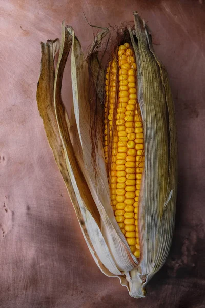 Кукурузный Початок Медной Поверхности Текстура Вертикальное Изображение — стоковое фото