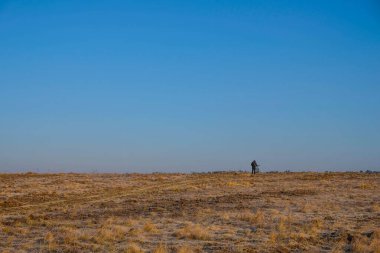 Ufukta yalnız bir bisikletçinin olduğu sınırsız bir manzara. Kuru çimenlerin üzerinde stoklama ilginç bir renk yaratır. Set Yelken Şampanyası ve Fortuna Gold. İnsanlar uzay kavramı. Minimalizm. Boşluğu kopyala.