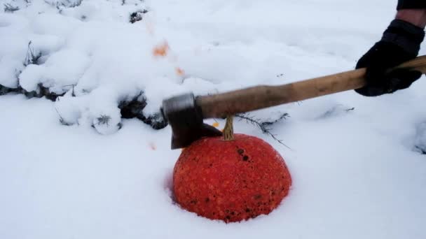 Chopping Pumpkin Animal Feed Frozen Orange Pumpkin Snowy Surface Winter — Stock Video