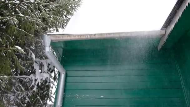 降雪だ 雪の風の転送 緑の木造の家の壁 下水道だ 雪に覆われたクリスマスツリー 冬休み 冬のリゾート クリスマス気分 — ストック動画