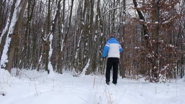 一个穿着鲜艳衣服的男人在森林滑雪上散步 冬季周末 — 图库视频影像