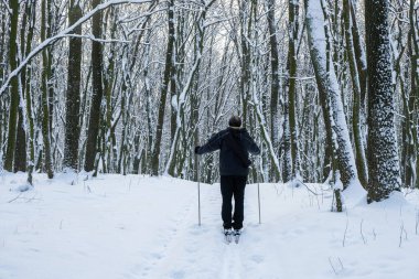 Sabah ormanda kayak yürüyüşüne çıkmış yaşlı bir adam. Aktif yaşam konsepti. Boşluğu kopyala.