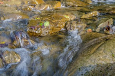 Bir dereye akan suyun uzun pozlama sahnesi. Karpatlar, Ukrayna.