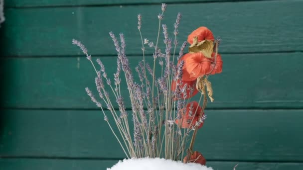 降雪时 潮水上有干薰衣草和橙子的芬芳 色泽翠绿 冬季芳香疗法或花卉疗法的概念 浪漫的概念 — 图库视频影像