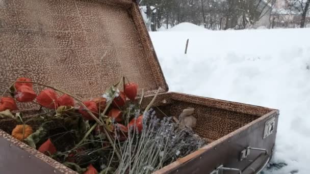 Vzácný Kufr Naplněný Voňavou Levandulovou Oranžovou Fyzalis Pozadí Sněhové Bouře — Stock video