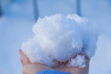 Bir insan avuç içi kadar kar tutar. Mavi arka plan. Ekoloji konsepti. Boşluğu kopyala.