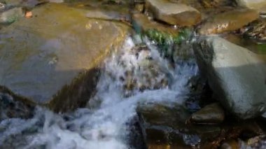 Altın saatte dağ deresi. Yerel turizm. Karpatlar, Ukrayna.