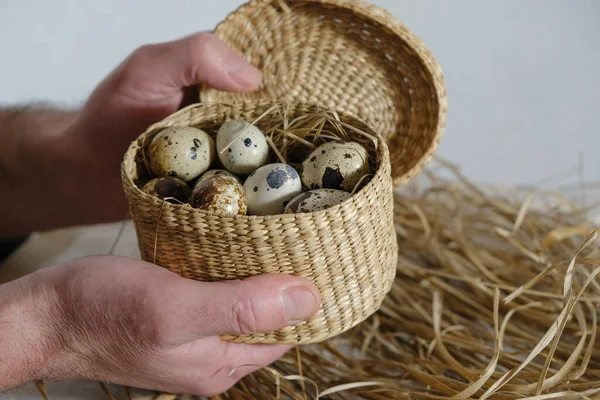 Wicker box with quail eggs in male hands on a straw background in the soft morning light.