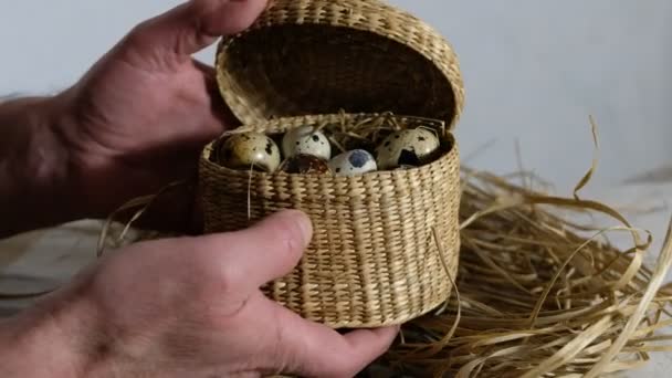 Granjero Abre Una Caja Mimbre Con Huevos Frescos Codorniz Saca — Vídeo de stock