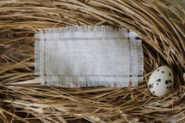 Saman üstünde benekli bıldırcın yumurtası. Tuvalin maketi. Uzayı kopyala Üst görünüm.