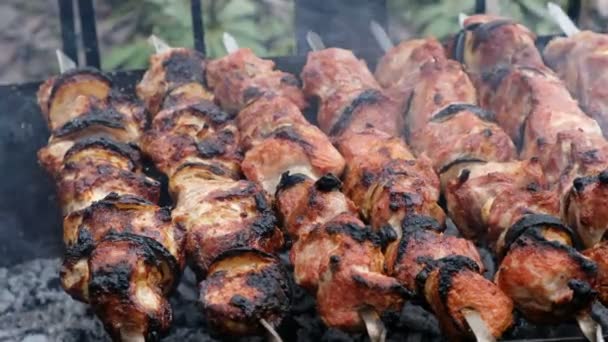 Close Cooking Delicious Kebabs Shashlik Outdoor — Stock Video