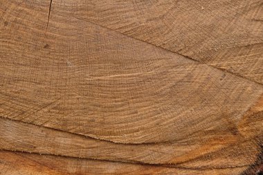 Yağmura batırılmış meşe dokusu. Ahşap arka plan. Boşluğu kopyala.