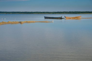 Sığ sularda iki tahta tekne. Svityaz Gölü 'nde sabah. Shatsky Ulusal Doğal Parkı. Ekolojik manzara. Ukrayna. Boşluğu kopyala.