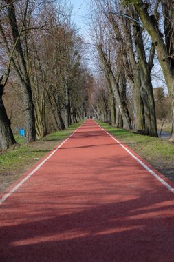 Halka açık bir parkta koşu yolu. Güneşli bir bahar sabahı. Dikey resim.
