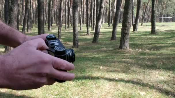 Férfi Kéz Egy Régi Kamerát Tart Fenyőerdő Hátterében Napsütéses Reggel — Stock videók