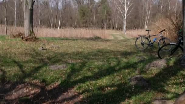 スイングの動き 晴れた朝に森林の背景に自転車 木の影 — ストック動画