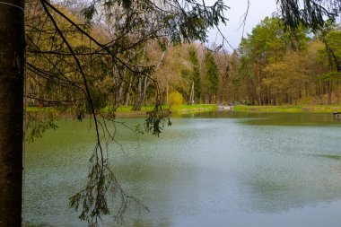 Ormanda insanlar olmadan göl. Yürüyüş için güzel bir yer. Boşluğu kopyala.