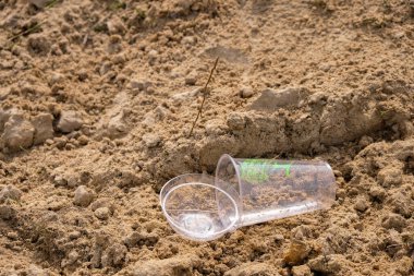 Biyolojik çözünebilir plastik bardak. Gübrelenebilir bioplastik bardaklar, plastiksiz..